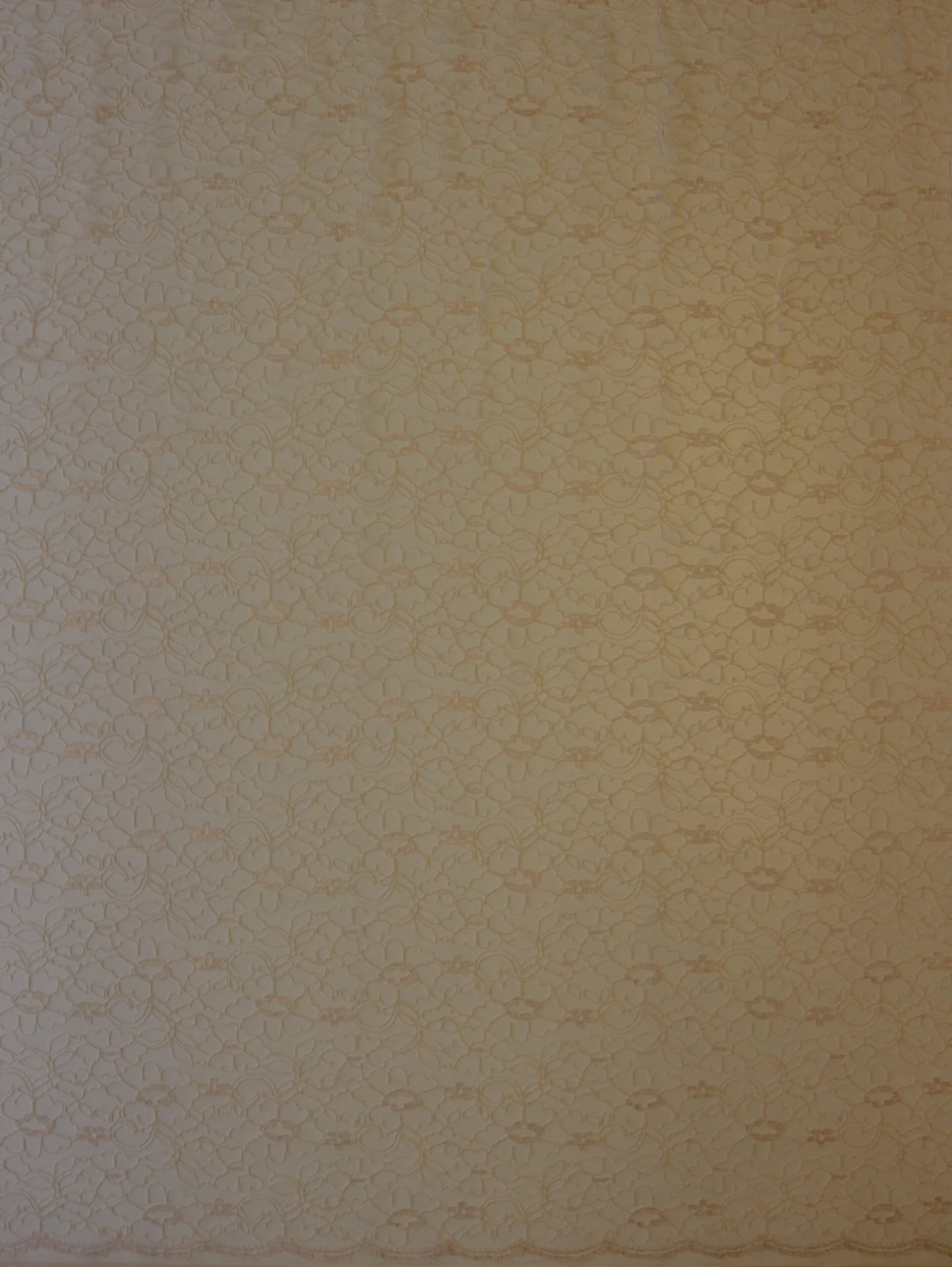 Blush Pink Lace - Leanne 5 Blush Pink Lace - Leanne - Image 5