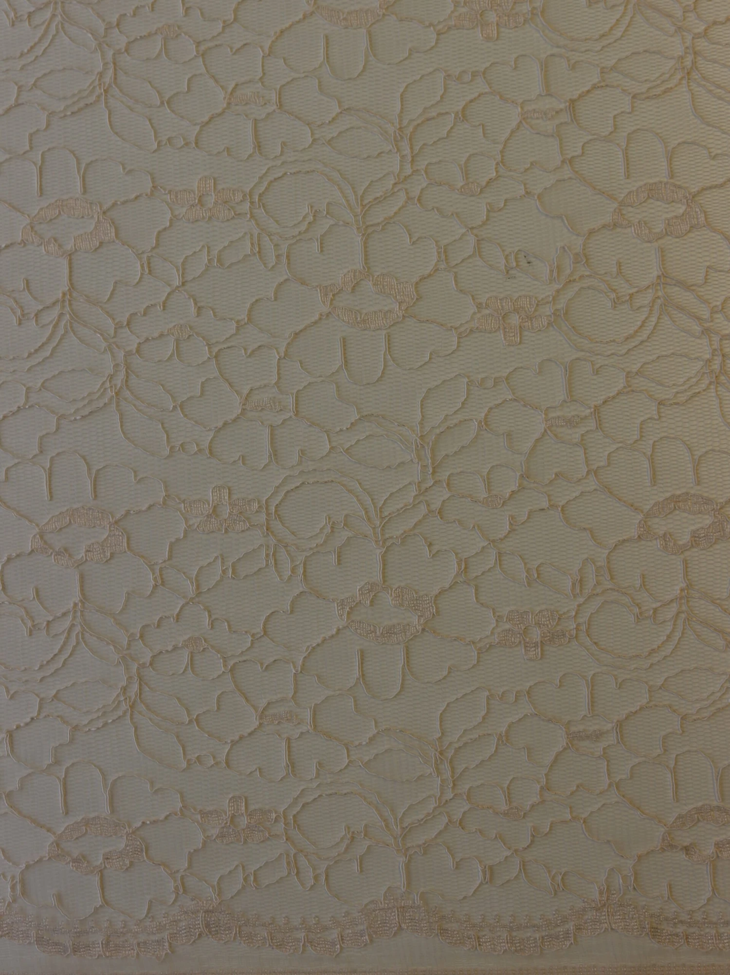 Blush Pink Lace - Leanne 3 Blush Pink Lace - Leanne - Image 3