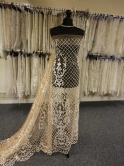 Champagne Embroidered Lace - Victory