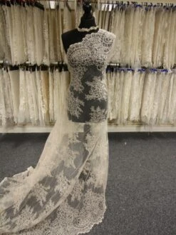 Champagne Corded Lace - Millicent