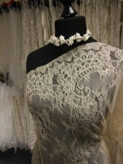 Champagne Raschel Lace - Vernita -Bridal Fabric Shop ChampagneLace Vernita b765c736 50fe 4332 895b f131b3df1dd3