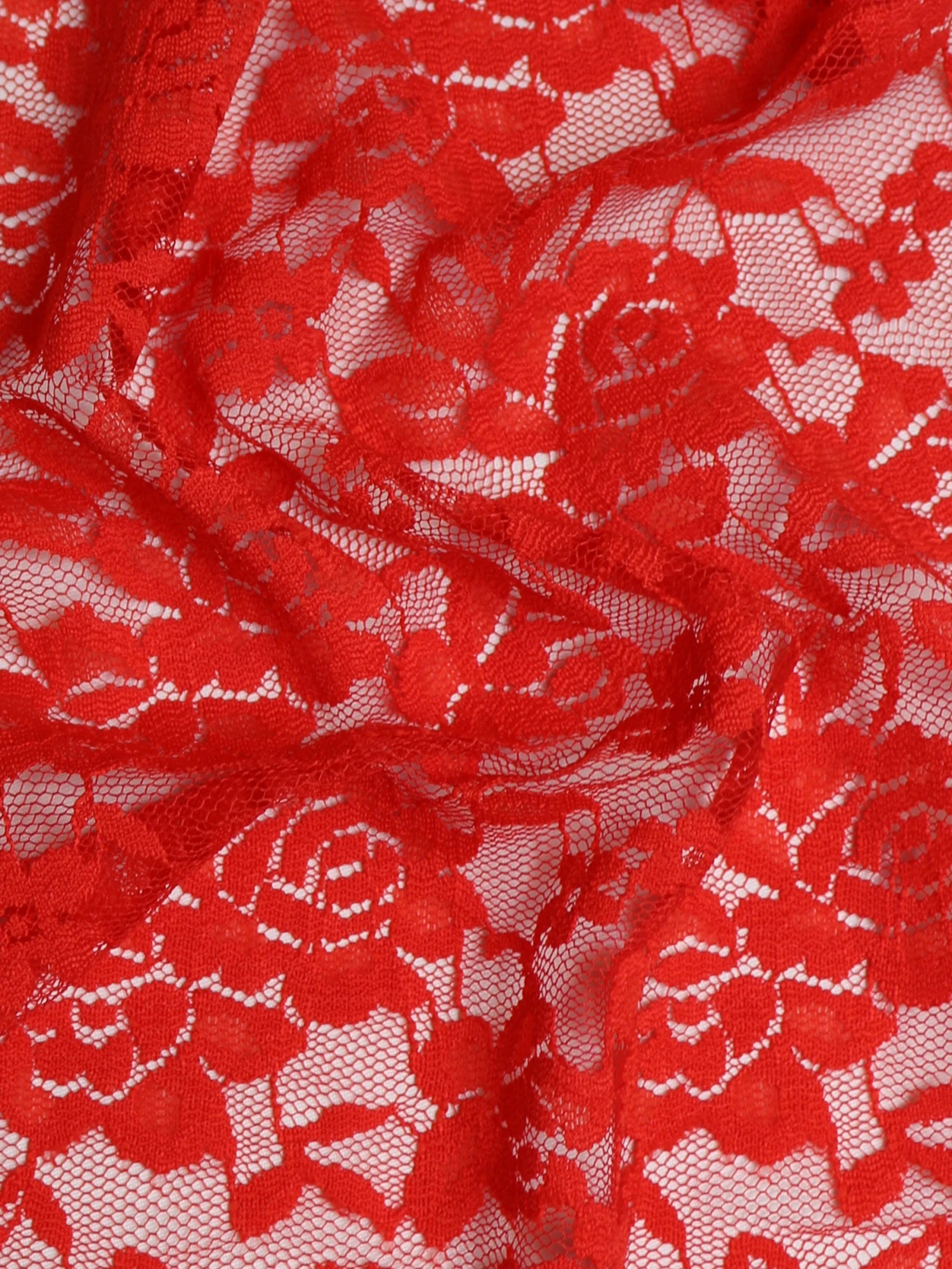 Scarlet Raschel Stretch Lace - Evie 5 Scarlet Raschel Stretch Lace - Evie - Image 5