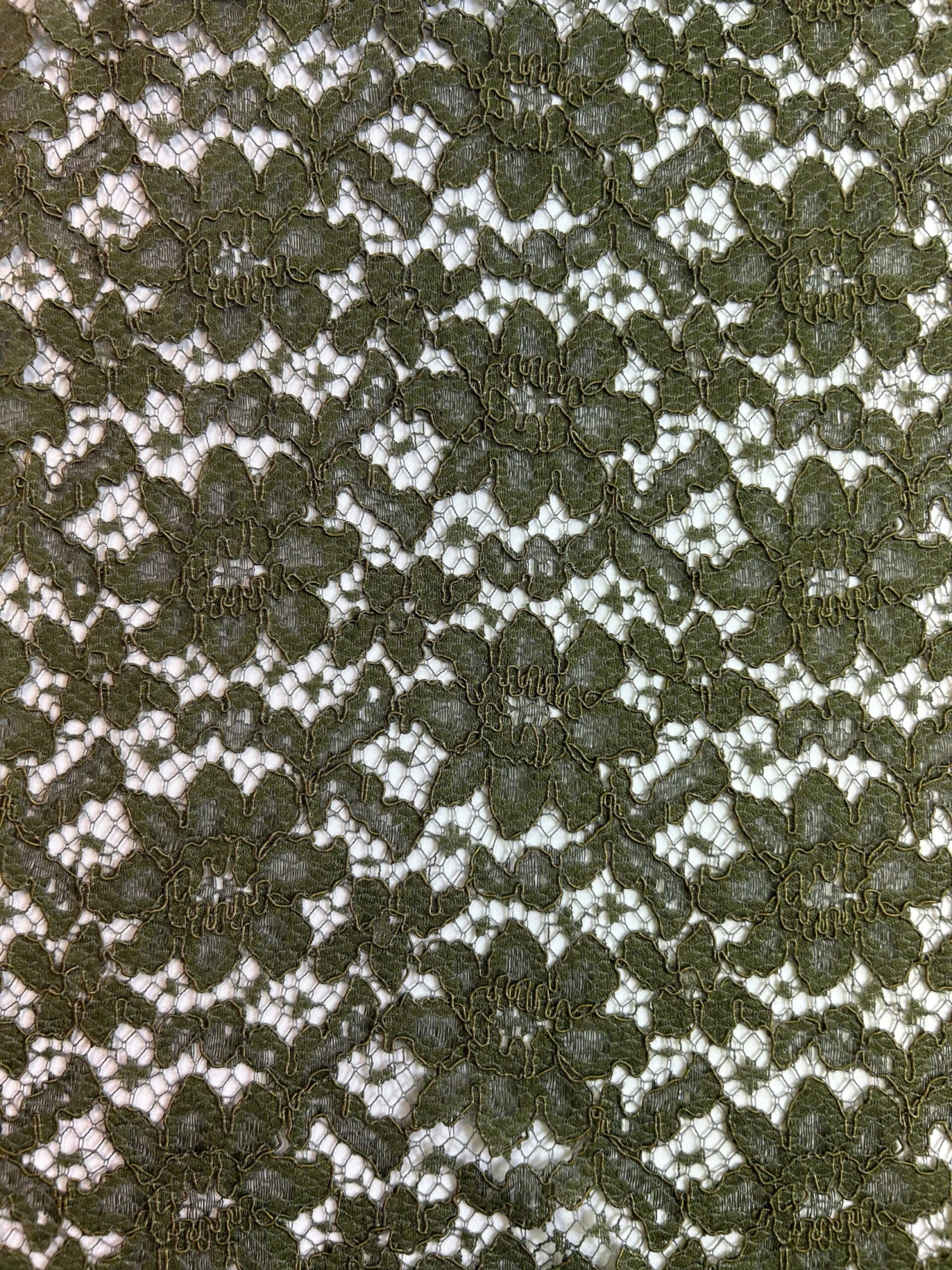 Olive Corded Lace - Shannon 5 Olive Corded Lace - Shannon - Image 5