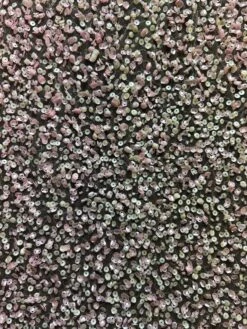 Pink Sequinned Lace - Zainab -Bridal Fabric Shop Zainab 1