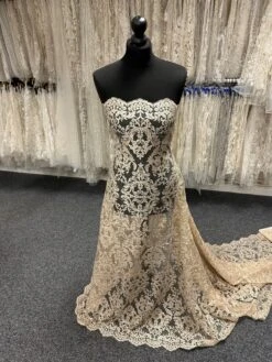 Champagne Sequinned Embroidery Lace - Albany