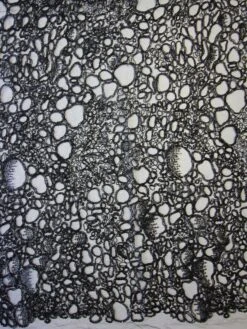 Black Corded Lace - Raven 11 Black Corded Lace - Raven -Bridal Fabric Shop black corded tulle raven 2