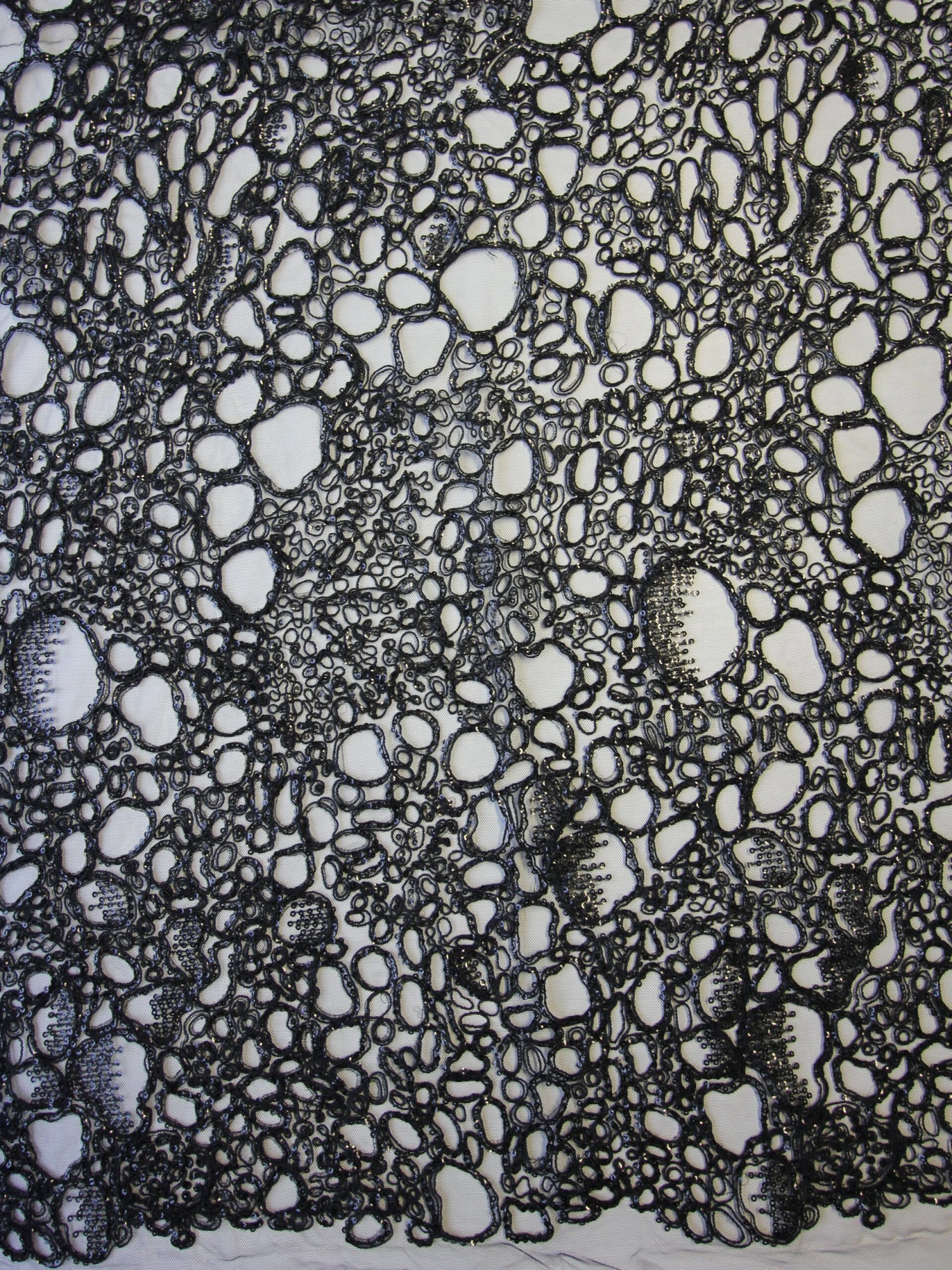 Black Corded Lace - Raven 6 Black Corded Lace - Raven - Image 6