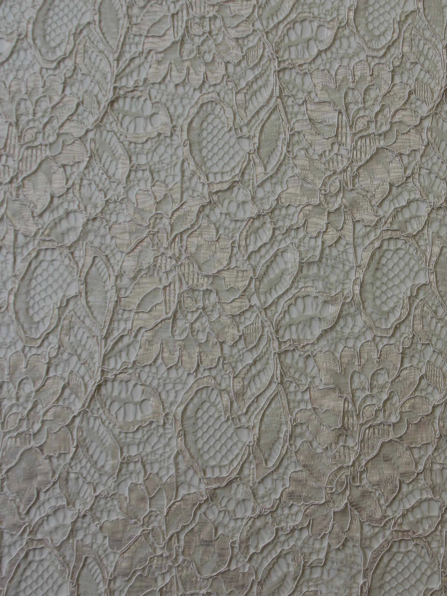 Blush Pink Corded Lace - Sinead 5 Blush Pink Corded Lace - Sinead - Image 5