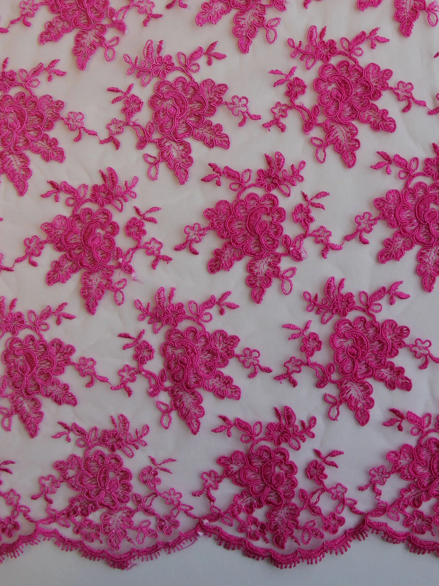 Candy Pink Lace - Philippa 1 Candy Pink Lace - Philippa