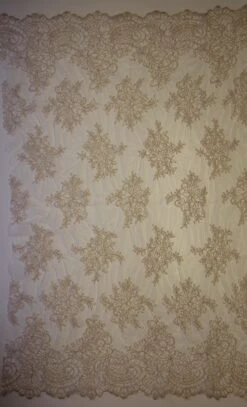 Champagne Corded Lace - Millicent -Bridal Fabric Shop champagne corded lace millicent full width 2