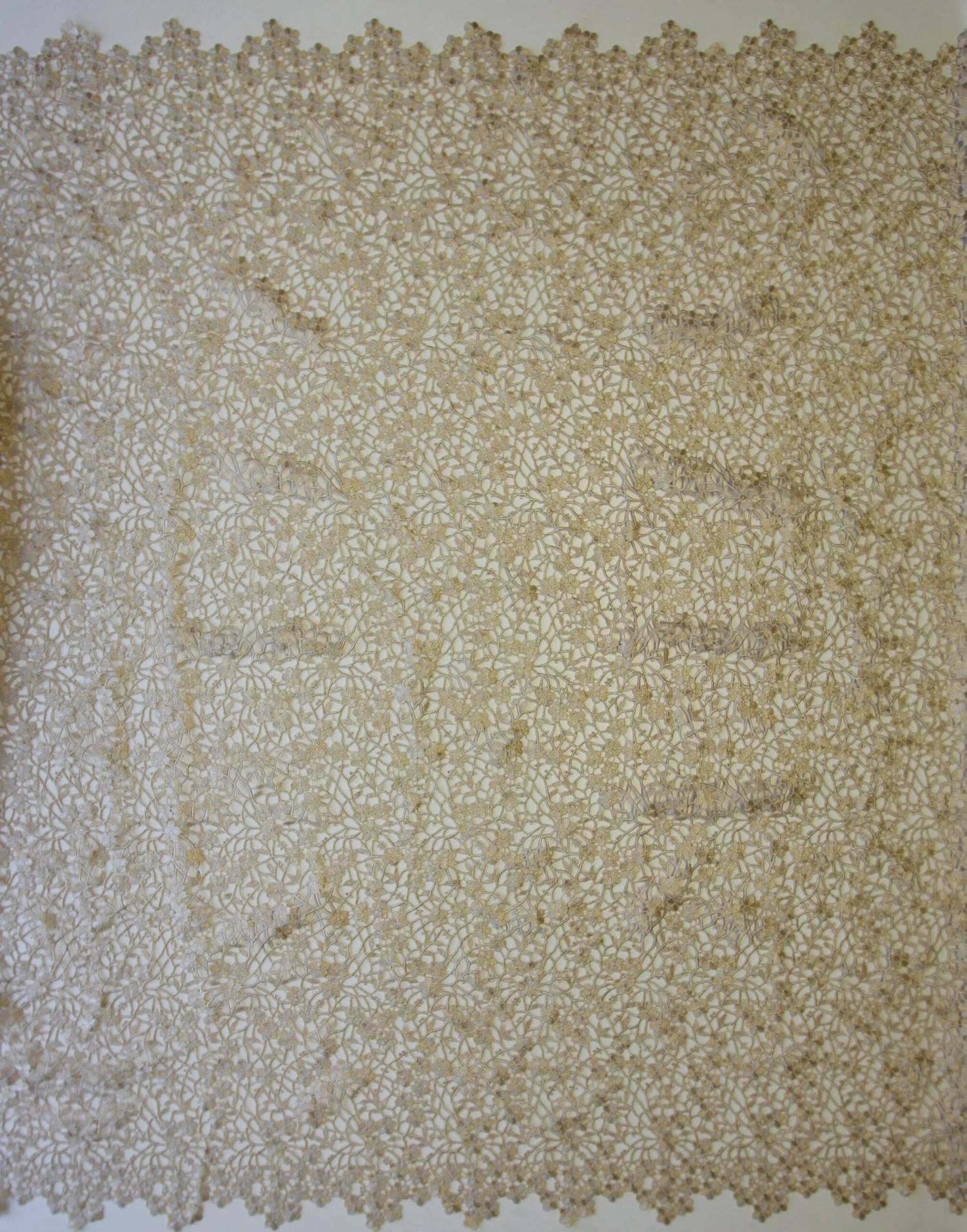 Champagne Guipure Lace - Ebba 3 Champagne Guipure Lace - Ebba - Image 3