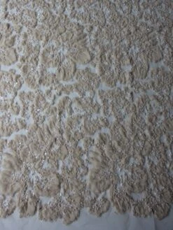 Champagne Embellished Lace - Allie 10 Champagne Embellished Lace - Allie -Bridal Fabric Shop champagne lace allie
