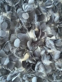 Black Feather 3D Lace - Thimbelina 7 Black Feather 3D Lace - Thimbelina -Bridal Fabric Shop g 1efbdc2f 3626 49f3 97d2 4392a066d3eb