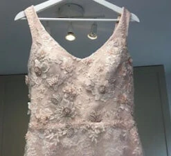 Blush Beaded Lace - Hildreth -Bridal Fabric Shop hildreth blush lace wedding dress 1