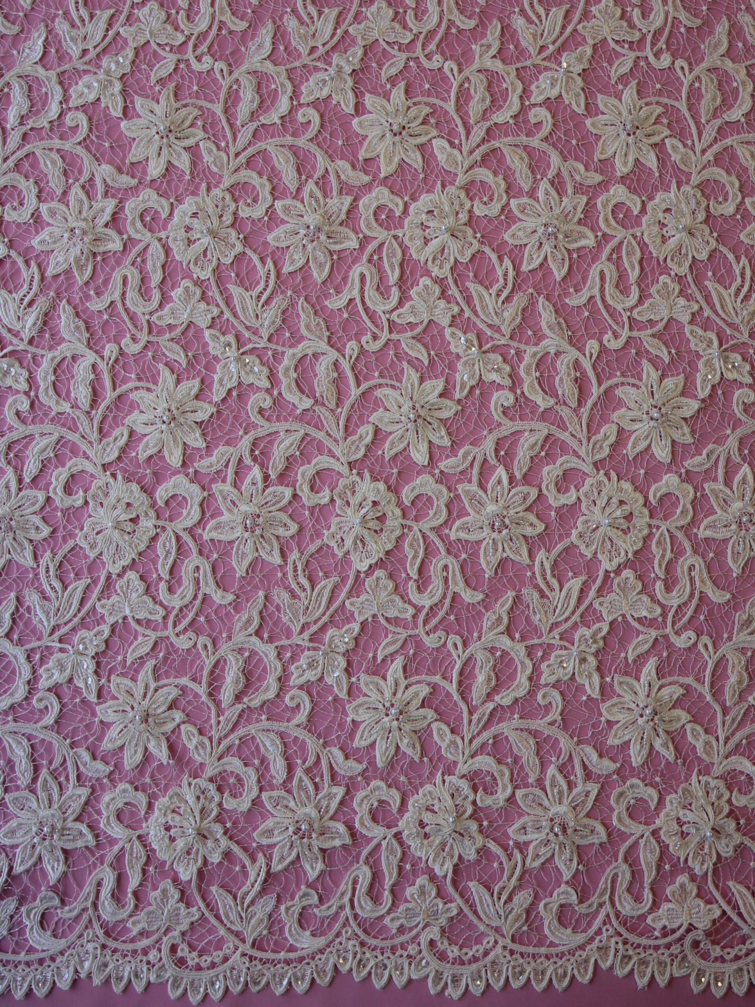 Ivory Beaded And Corded Lace - Elaine 3 Ivory Beaded And Corded Lace - Elaine - Image 3