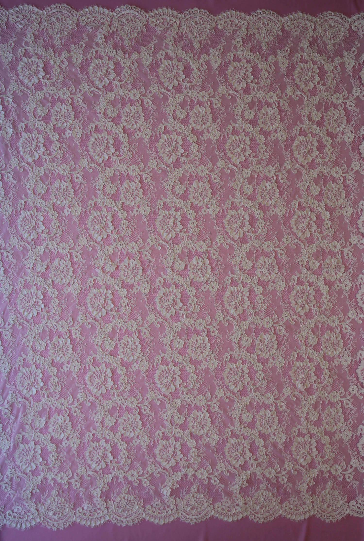 Ivory Corded Lace - Dionne 4 Ivory Corded Lace - Dionne - Image 4