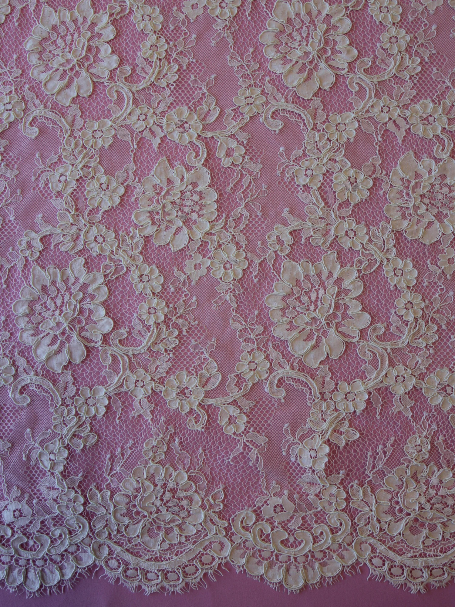 Ivory Corded Lace - Dionne 3 Ivory Corded Lace - Dionne - Image 3