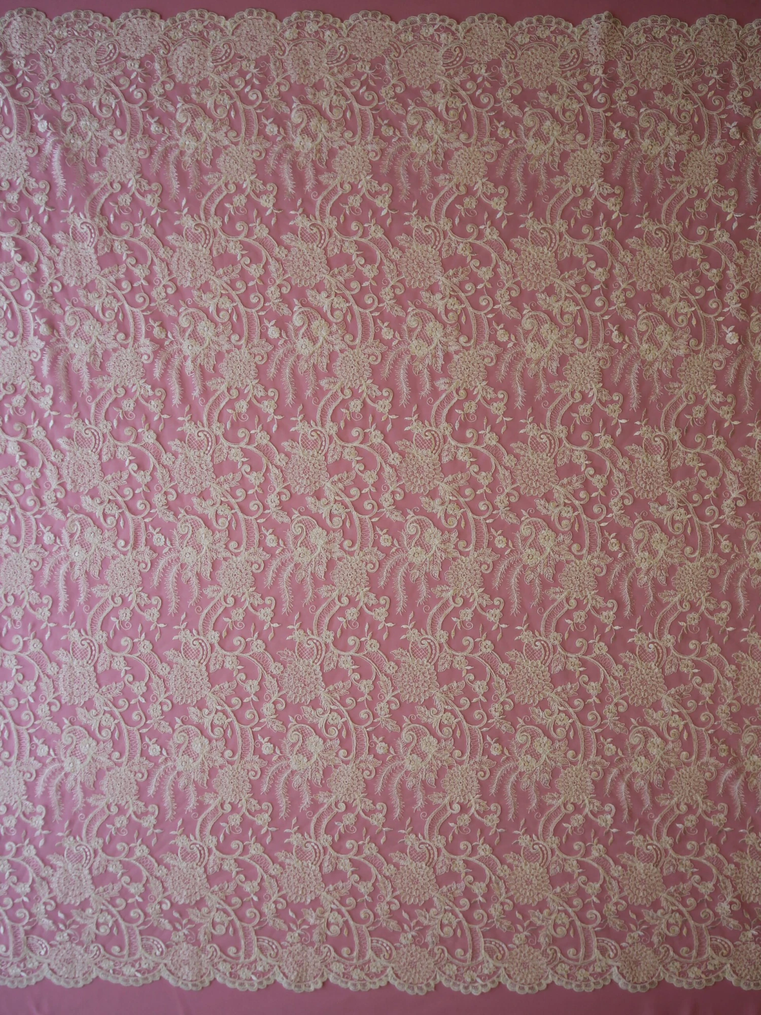 Ivory Corded Lace - Vanessa 4 Ivory Corded Lace - Vanessa - Image 4