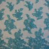 Turquoise Blue Lace - Victoria