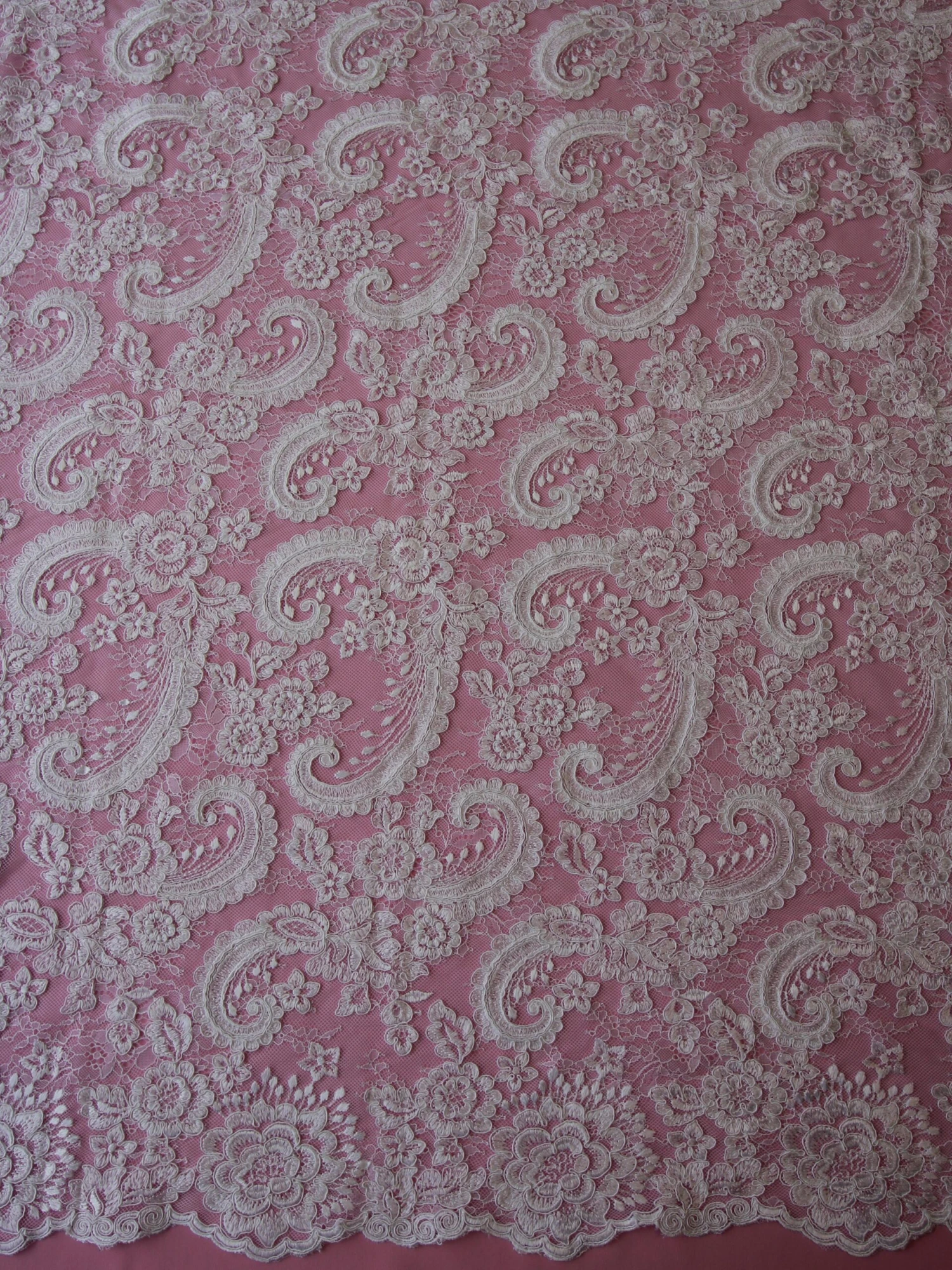 White Corded Lace - Isla 3 White Corded Lace - Isla - Image 3