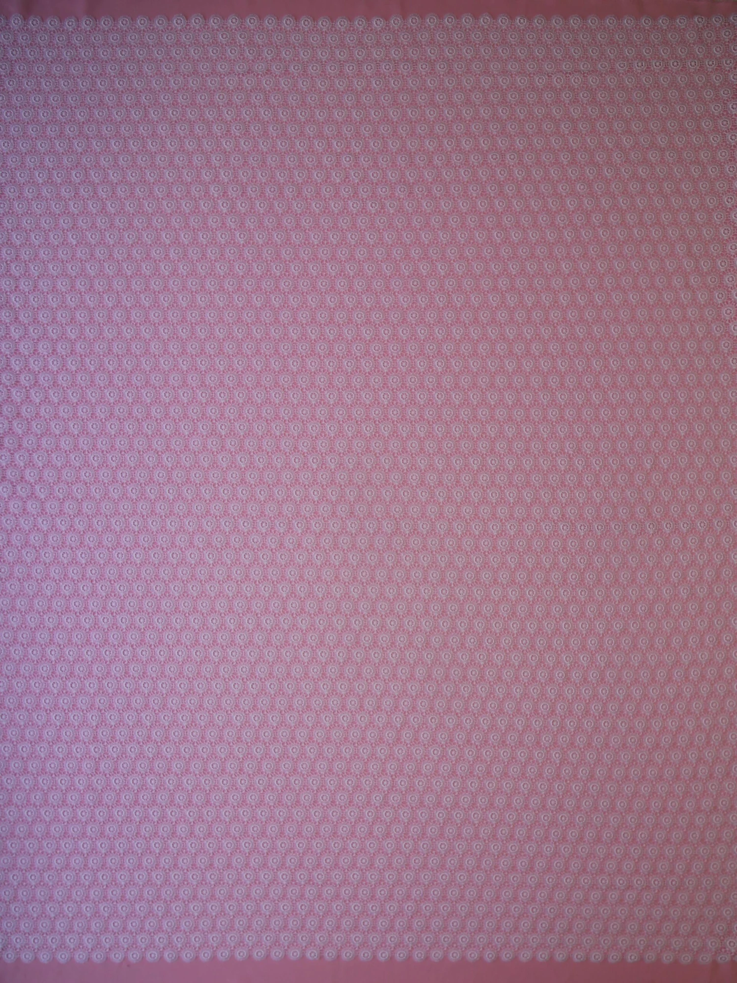 White Guipure Lace - Gordonia 3 White Guipure Lace - Gordonia - Image 3