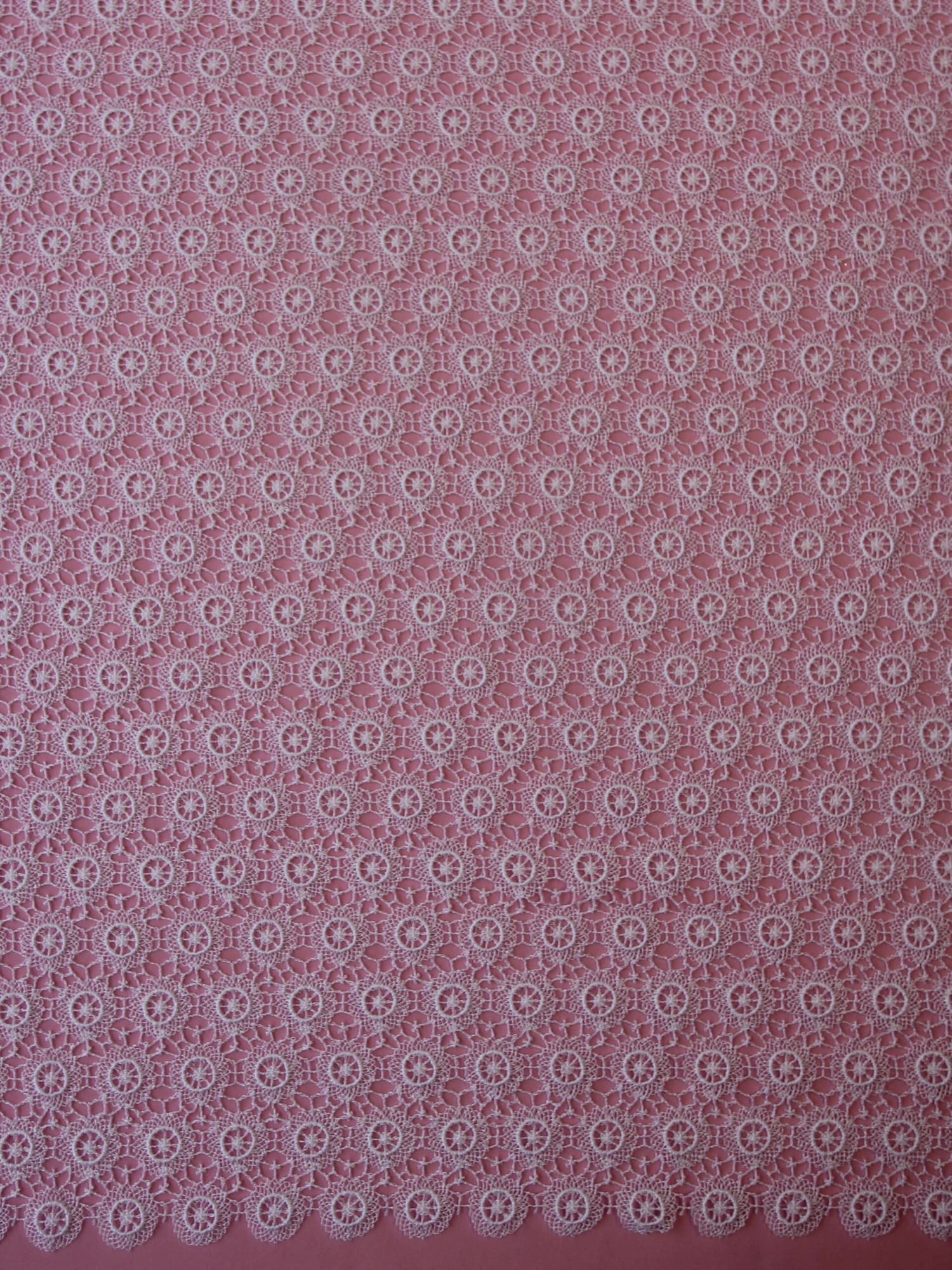 White Guipure Lace - Gordonia 5 White Guipure Lace - Gordonia - Image 5